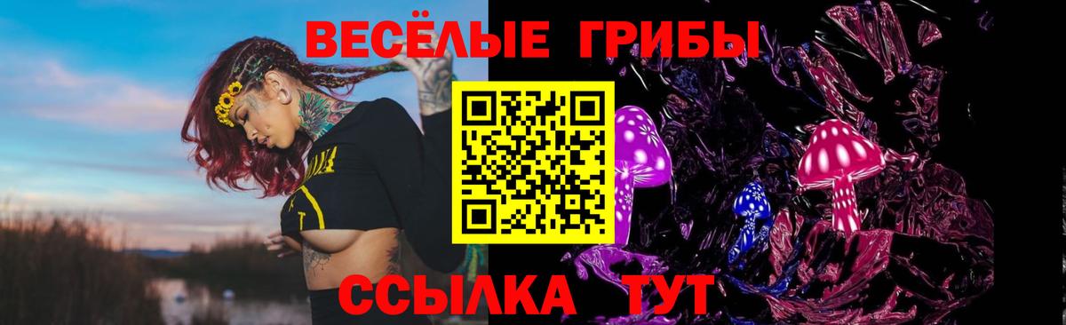 Галлюциногенные грибы Magic Shrooms  Вход с VPN  купить наркоту  Аргун  Галлюциногенные грибы прущие грибы 